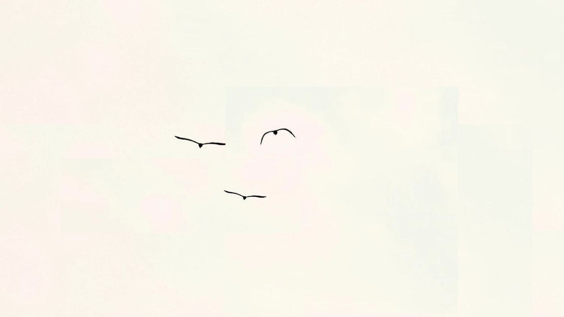 The 'Less Is More' Theory